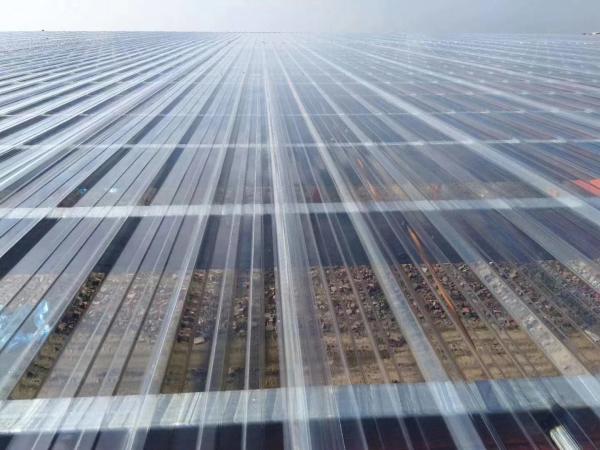 Polycarbonate Corrugated Plastic Skylight Sheet Customized Length 0.8mm-2.8mm
