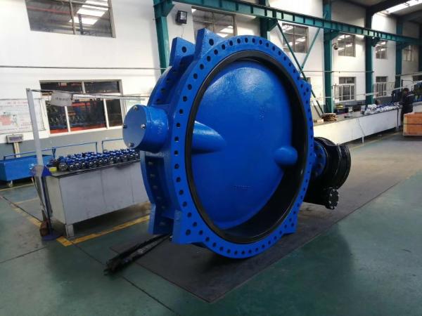 BS EN10092-2 DI ductile iron cf8m ss316 china pn16 double flanged butterfly valve