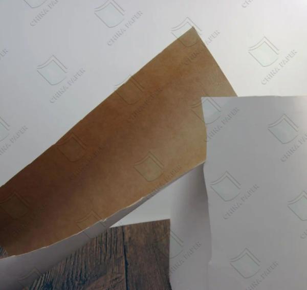 200G 270G 300G Liquid Packaging Board Aseptic Food Packaging Paper Board LPB