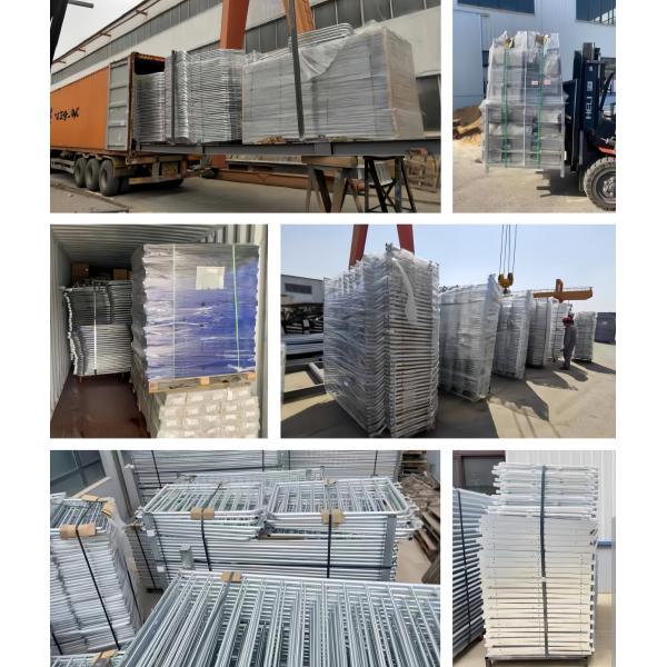 Poultry Equipment Chicken Layer Cages A Type H Type Layer Cage Automatic