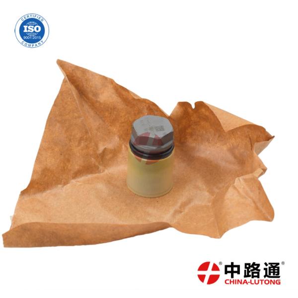 Common Rail Piezo Injector Control Valve Kit 1 110 010 024 for Buy  Pressure Relief Valve