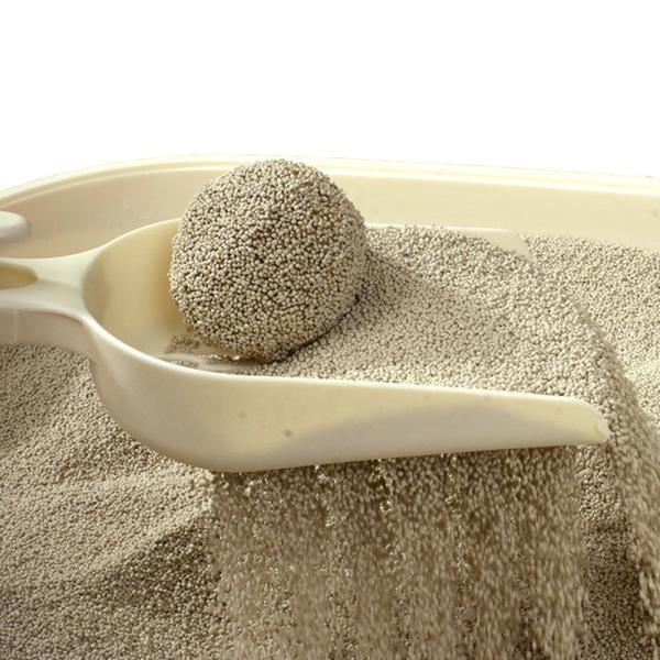 Premium Scented Bentonite Millet Cat Litter Odor Lock Strong Clumping Dust-Free Eco-Friendly Customizable Pet Supplies