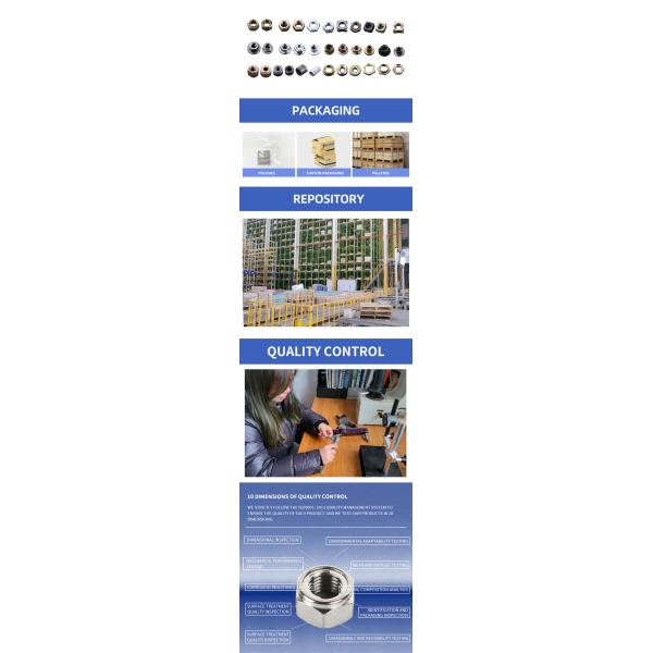 Stainless Steel Nut  Screw Customization