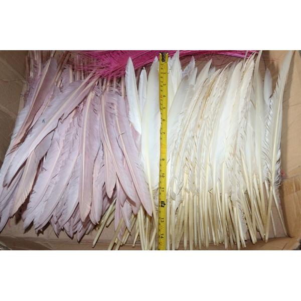 Valentine's Day Millinery Supplies Turkey Feather Quill for Worldwide Shipping
