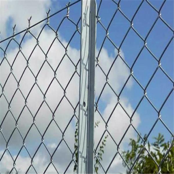 Загородка PVC диаманта покрытая/гальванизированная звена цепи ячеистой сети для спортивной площадки спорт