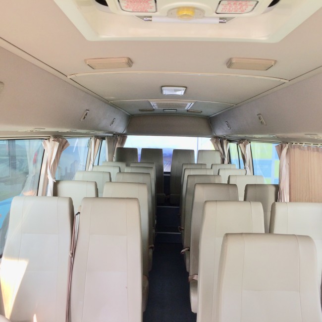 Автоматический автобус каботажного судна Seater излучения 30 передачи нул с цапфой ДАНА