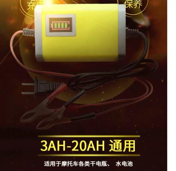 Gooa quality smart 12V 8A 24V 4A Car Motorcycle Battery Charger Pulse Repair Agm Gel Wet