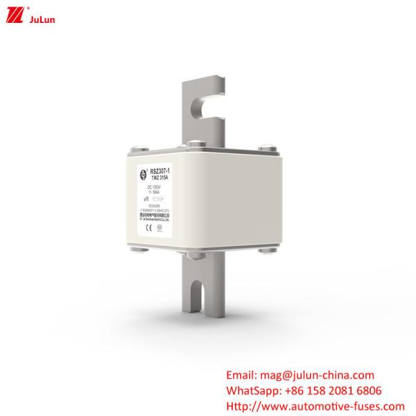 315A DC250V Cargador de EV portátil Fuse Solución definitiva para los propietarios de EV