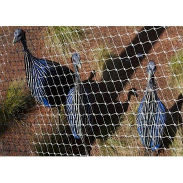 High Weather Resistant Zoo Mesh Meets Harsh Climate Needs In Indonesia