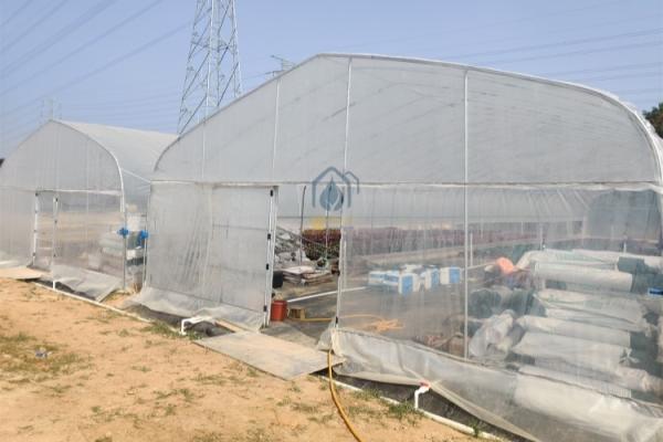Serres poly-tunnel agricoles commerciales à haute résistance pour la culture des légumes et des fruits