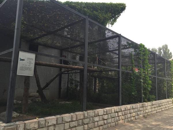 Welded Wire Mesh For Zoo Wire Mesh Fence