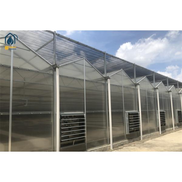 UV Resistant Polycarbonate Greenhouses Agriculture Heavy Duty Greenhouses With Precision Climate Control