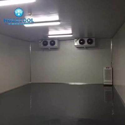 Meat / Fish Cold Room , Frozen Cold Room With Double Temperature