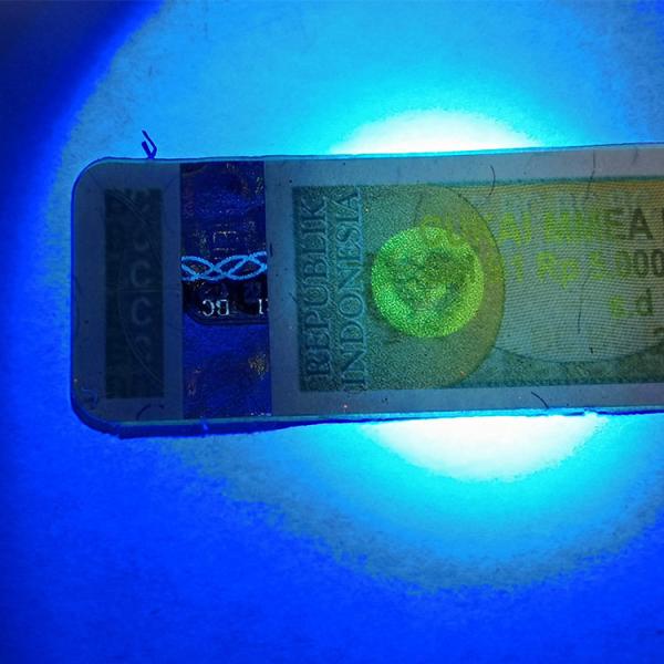Impression fluorescente de estampillage chaude adaptée aux besoins du client d'autocollant d'impôts de label