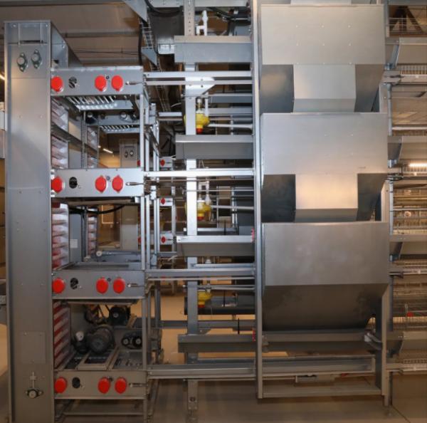 Galvanized Steel Poultry House Equipment with Automatic Control and Customizable Dimensions