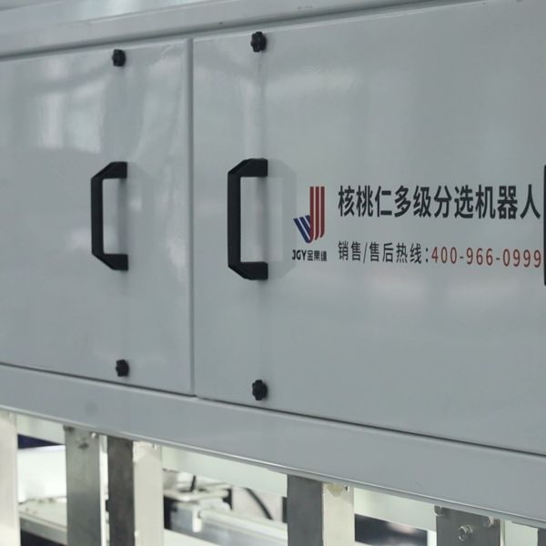 Multi-Grade Walnut Kernel Separating Machine Uses Adaptive 12-Channel Outlets For Precise Nut Size Classification
