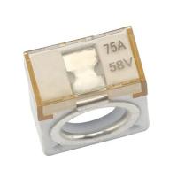 Fusible de borne de batterie de voiture à trou M8 75A