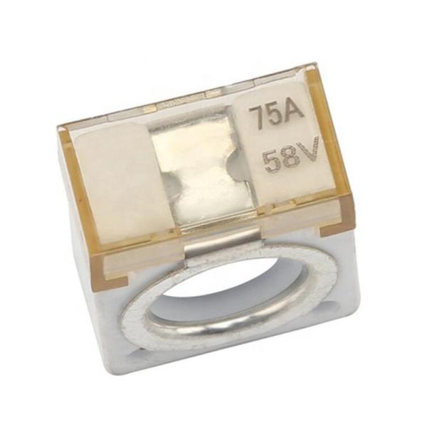 M8ホールカーバッテリーターミナルヒューズ75A