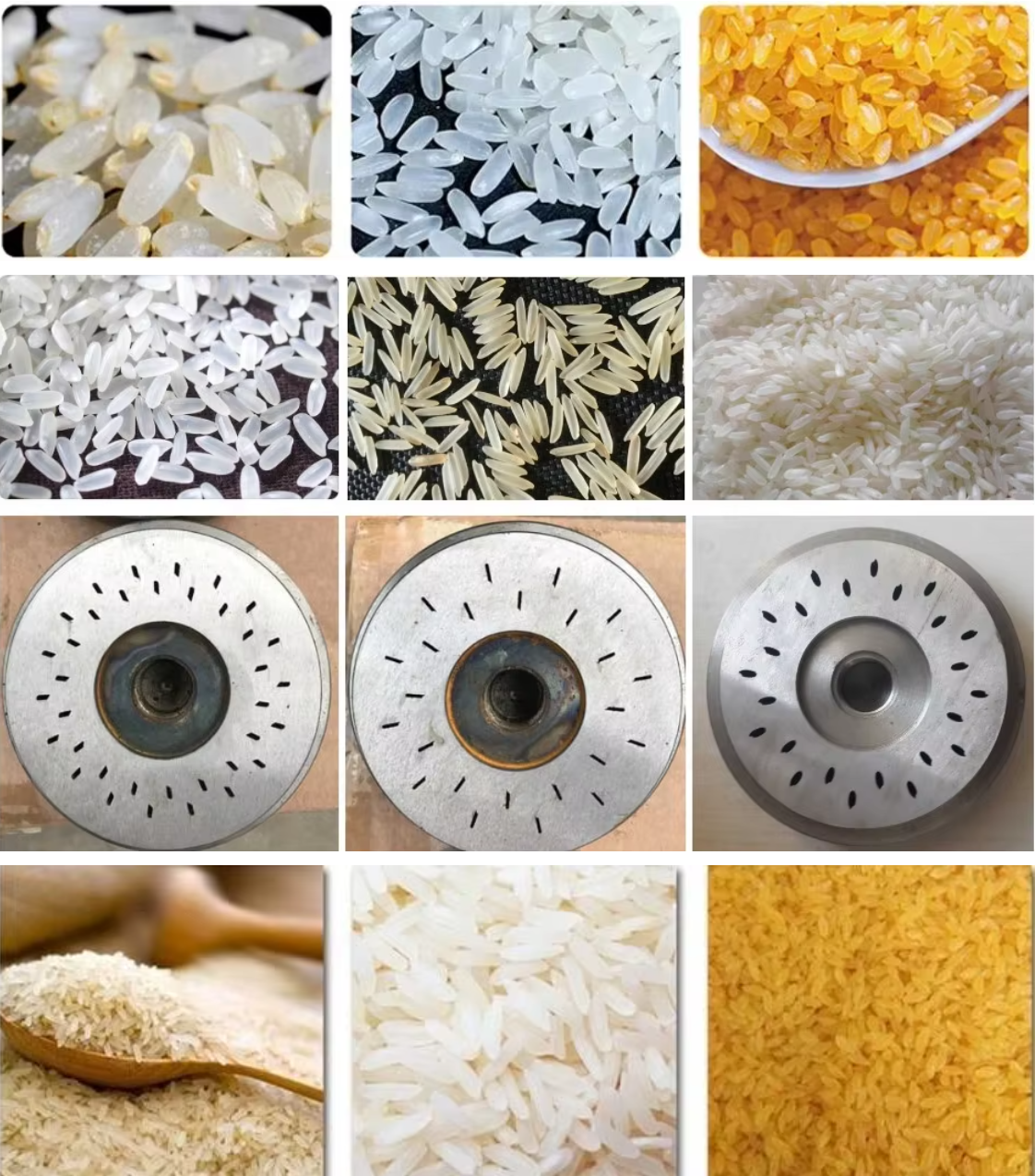 Nutritional Rice Processing Equipment 100kg Per Hour Nutritional Rice Processing Machine For Sale