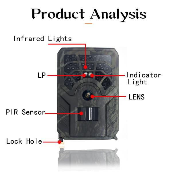 Caméra extérieure Wifi IP56 sans fil de faune de vision nocturne de la caméra 32MP 1296P de chasse de PR300C WIFI