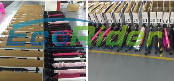 Portable Folding Motorized Scooter 350W 24V Lithium Folding Electric Skateboard