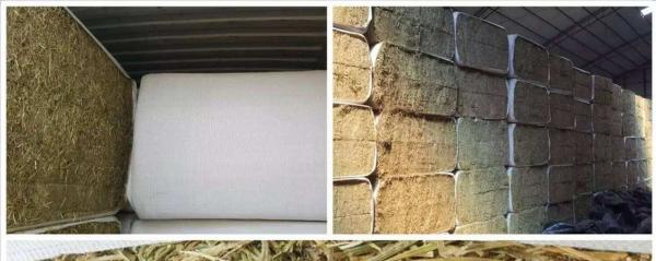 Biodegradable Woven Hay Bale Packing Cloth Non Toxic Mulituse 60 Gsm - 110 Gsm