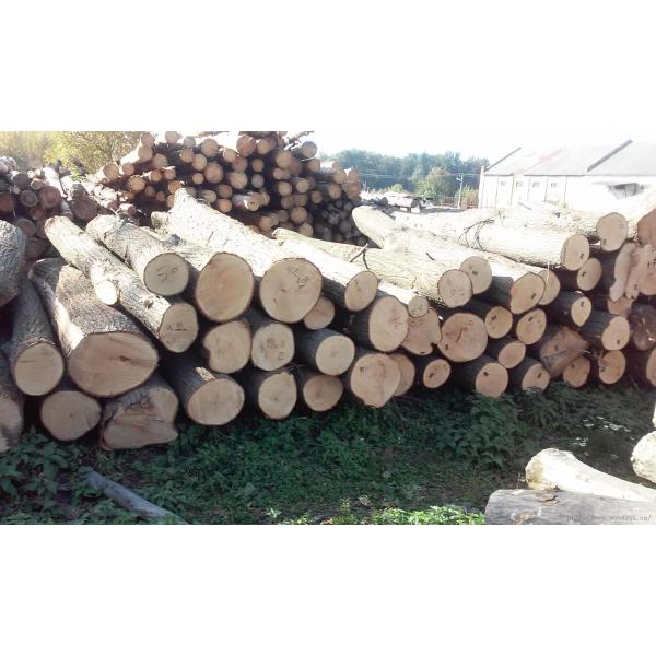 Construction Works W18 Tungsten Steel Wood Chipper Blade 500*40*3mm for 1 KG Weight