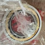 6313-M-C3-SQ77 Railway Insulated Deep Groove Ball Bearing Electric Insulated Motor Bearing Supplier