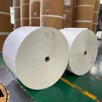 le PE simple ou double de papier de conseil en ivoire de 210gram 250gram a enduit le petit pain de papier