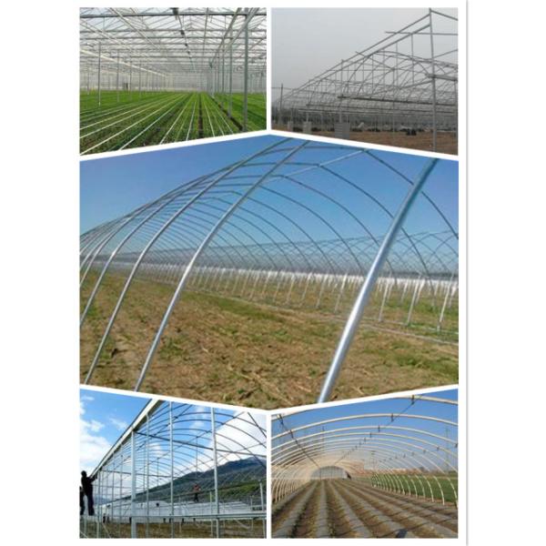 Galvanized Steel Frame Tunnel PE Film Greenhouse Single Span For Agriculture