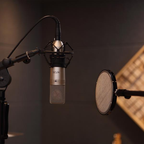 797Audio ACR01 Professional Condenser Microphone For Professional Gaming, Recording,Singing,Audio and Living Program Speaker