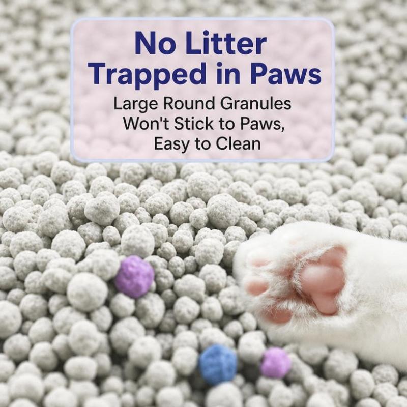 Fine Granule Formula Fast Absorption Low Tracking Customized Packaging Export Bentonite Cat Litter