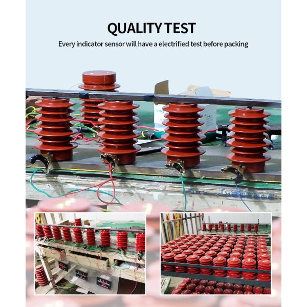 DUWAI 24KV Industrial Grade Voltage Sensor Epoxy Potting for Durability & Weather Resistance in Power Systems
