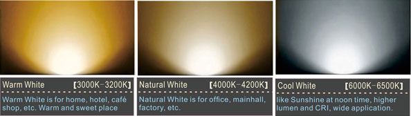 led cob track light wholesale manufacturers - New