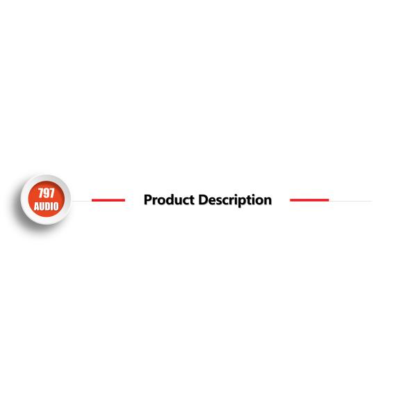 797Audio CR632 Professional 3-Pin XLR Studio Condenser Microphone Light-Weight Customized Recording Mic with Best Price