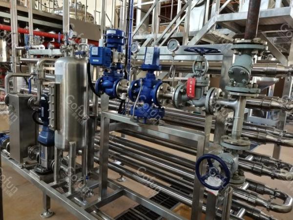 SUS304 / SS316 Mango Pulp Production Line 5 t/h Flexible Operation Support
