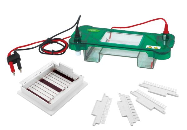0.6 Horizontal Gel Electrophoresis Apparatus 365 × 105 × 55 Mm Dimension