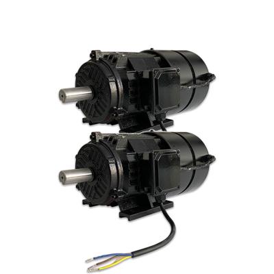 1500 - 3000rpm Rare Earth Permanent Magnet Motor For Powerful Applications