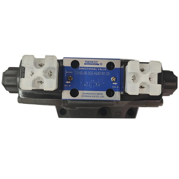 High Pressure Hydraulic Solenoid Pilot Operated Valve DSHG-06 Series