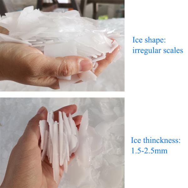 Water Cooling Condensation Way 1000kg Flake Ice Making Machine with Ice Storage Bin