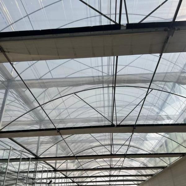 Large Multi-Span PE/Po Plastic Film Agricultural Greenhouse with Hydroponics System