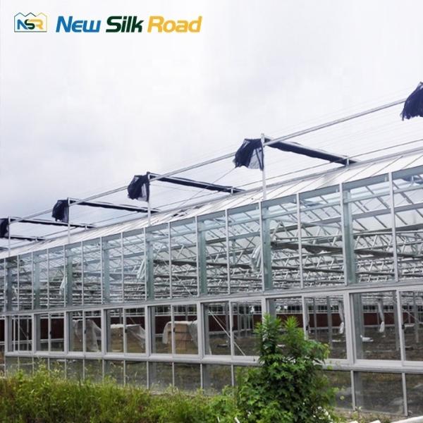 commercial low cost agricultural greenhouse sale hot house greenhouse polycarbonate sheet greenhouse for agro