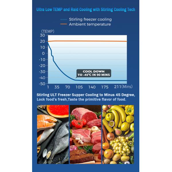 25L сверхнизкотемпературный постоянный ток солнечный холодильник для автомобилей -45C однотоннажный по Refport