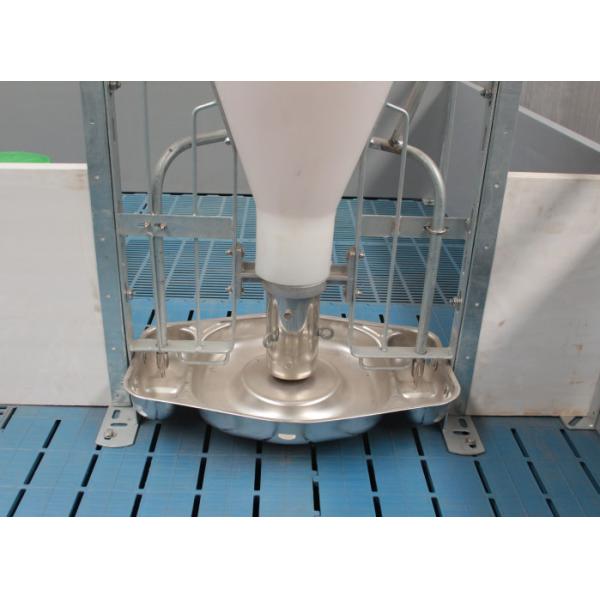 Acier inoxydable et conducteur automatique en plastique de porc, conducteurs secs humides de porc