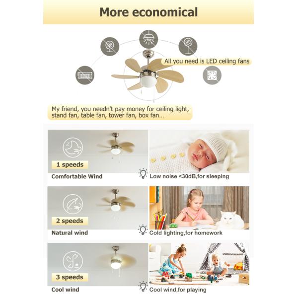 1stshine Ventilador de teto de baixa tensão Pervanesi Ventilador de teto com velocidade ajustável e cadeia de puxa