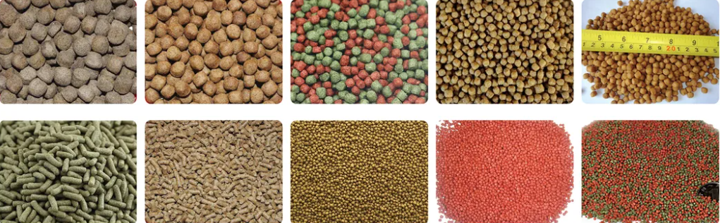 Animal Pet Fish Dog Cat Lobster Bullfrog Shrimp Crab Loach Feed Food Make Extruder Production Line Machine