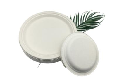 10 placas biodegradáveis do bagaço da cana-de-açúcar da barra 20g