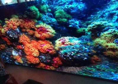 High Contrast Ratio P2.5 HD Led Display Indoor Fixed Multicolor Customized Size