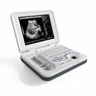 Máquina portátil DRF RDA do ultrassom do veterinário equino de múltiplos propósitos