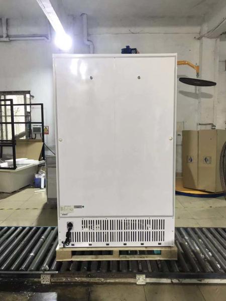 Vertical Double Door Frost Free Display Beverage Cooler / Glass Door Beverage Showcase